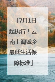 7月1日起执行！云南上调城乡最低生活保障标准