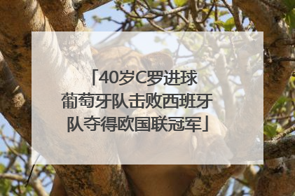 40岁C罗进球 葡萄牙队击败西班牙队夺得欧国联冠军
