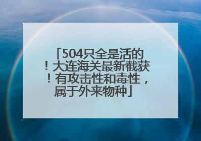 504只全是活的！大连海关最新截获！有攻击性和毒性，属于外来物种
