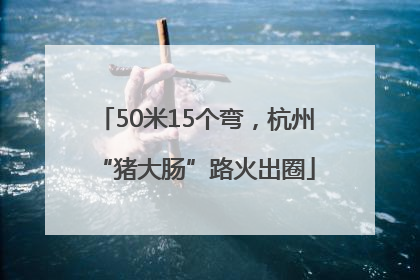 50米15个弯，杭州“猪大肠”路火出圈
