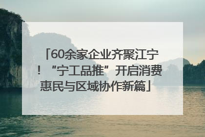 60余家企业齐聚江宁！“宁工品推”开启消费惠民与区域协作新篇