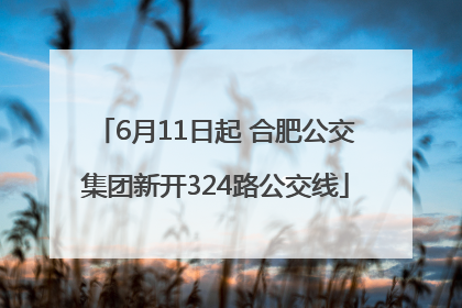 6月11日起 合肥公交集团新开324路公交线