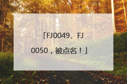 FJ0049、FJ0050，被点名！