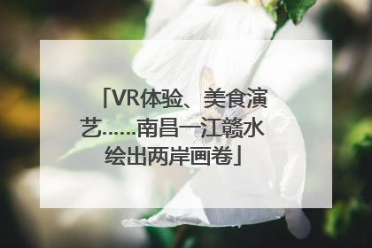 VR体验、美食演艺……南昌一江赣水绘出两岸画卷