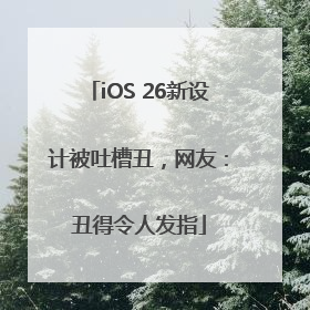 iOS 26新设计被吐槽丑，网友：丑得令人发指